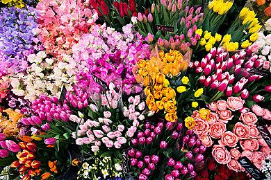 《我们之中》推出愚人节“马模式” 船员变成四足人马